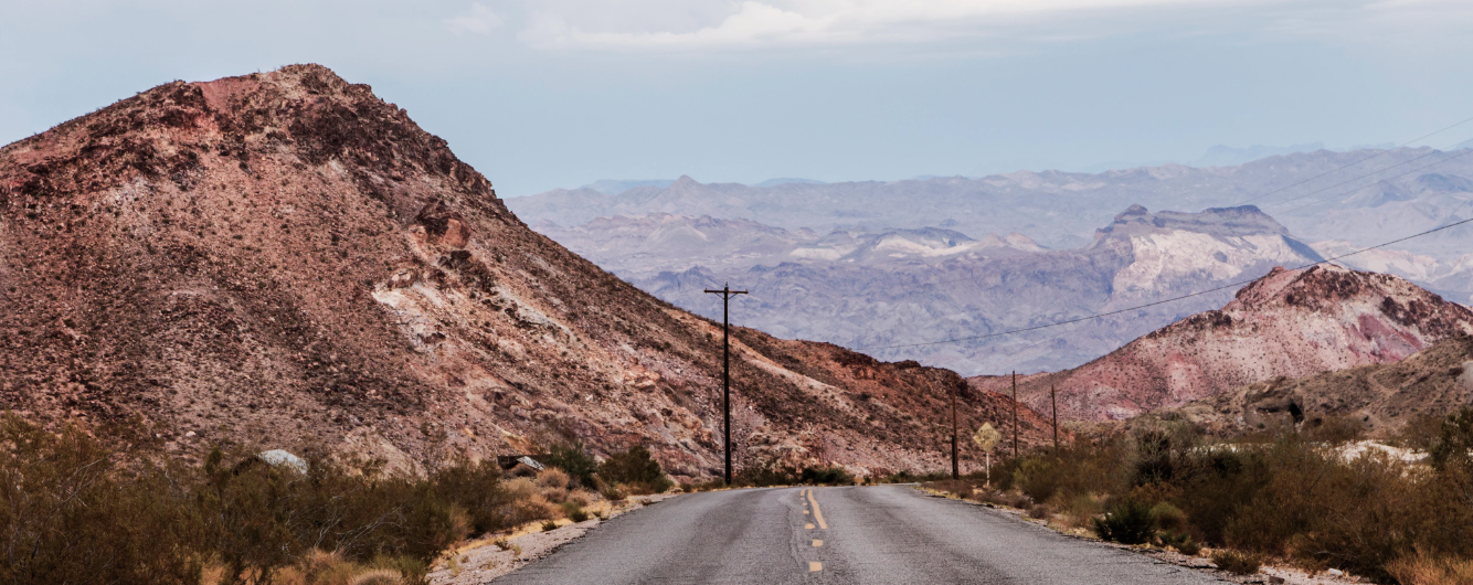 Arizona 48 Flat Trucker