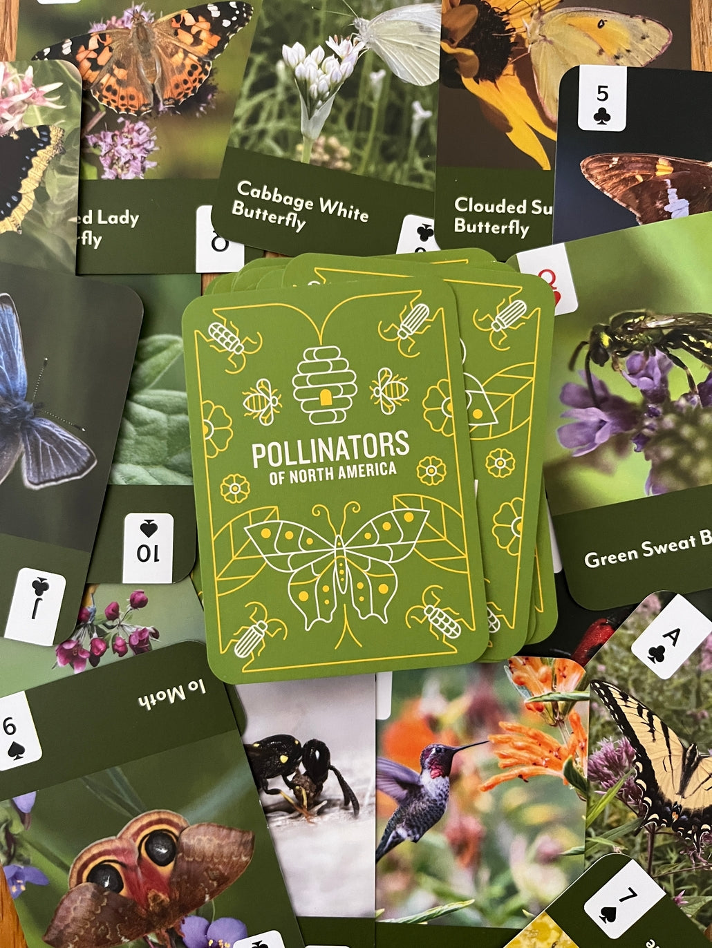 Pollinators of North America Playing Cards