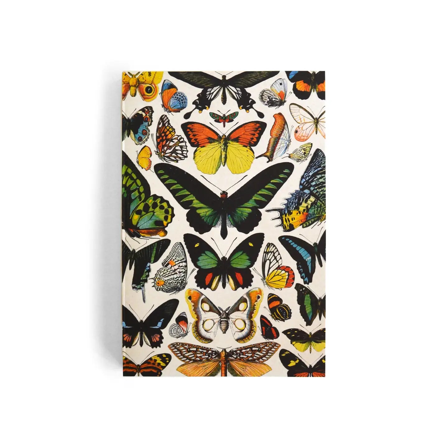 Vintage Butterfly Exposed Binding Notebook