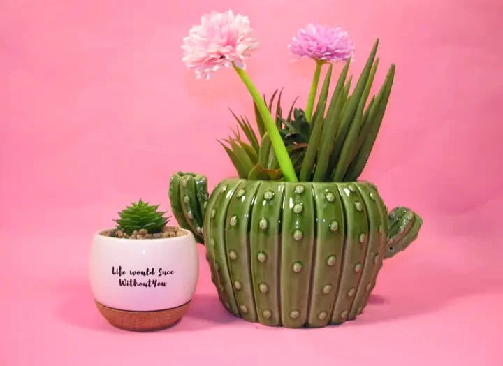 Cactus Planter