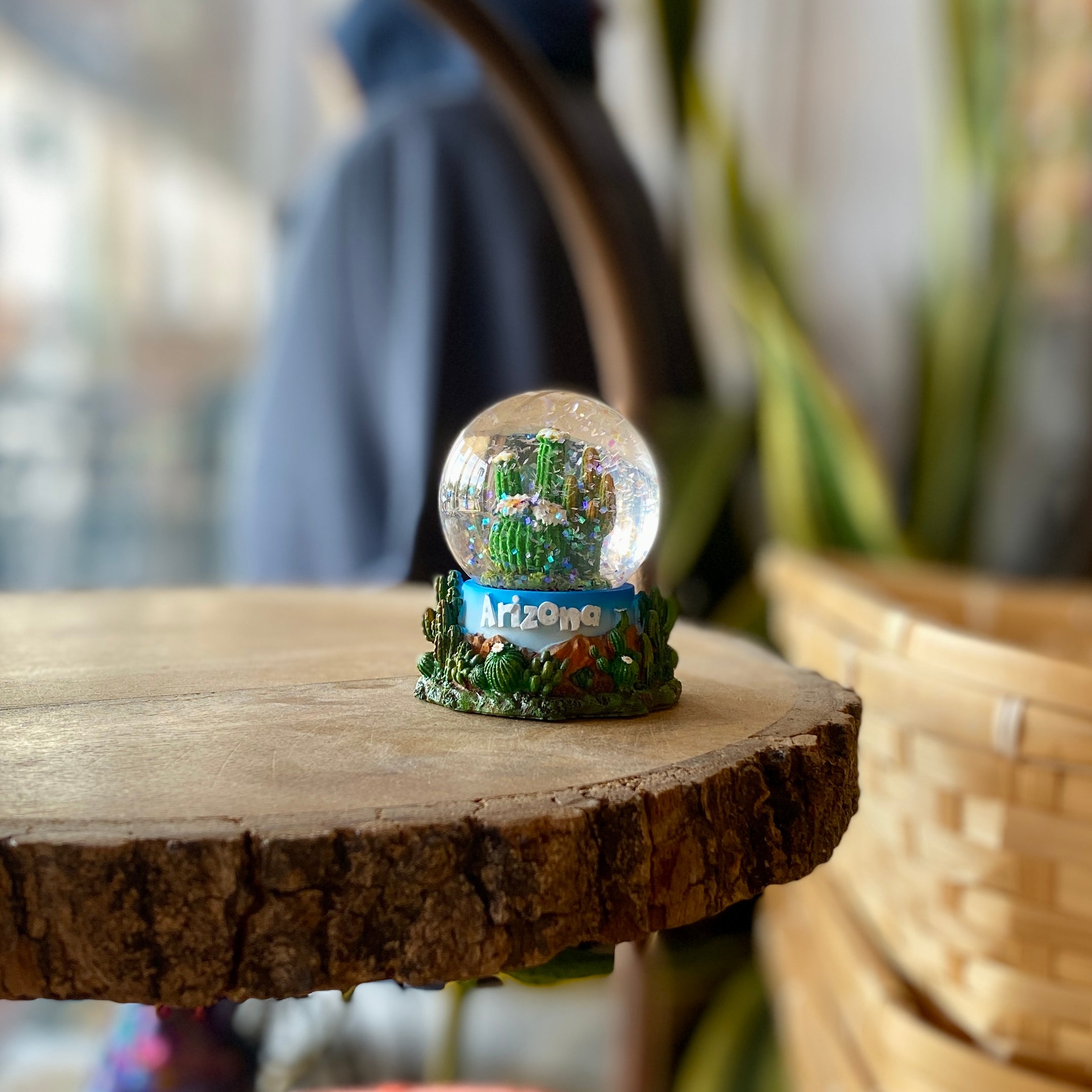 Arizona Cactus Glitter Globe