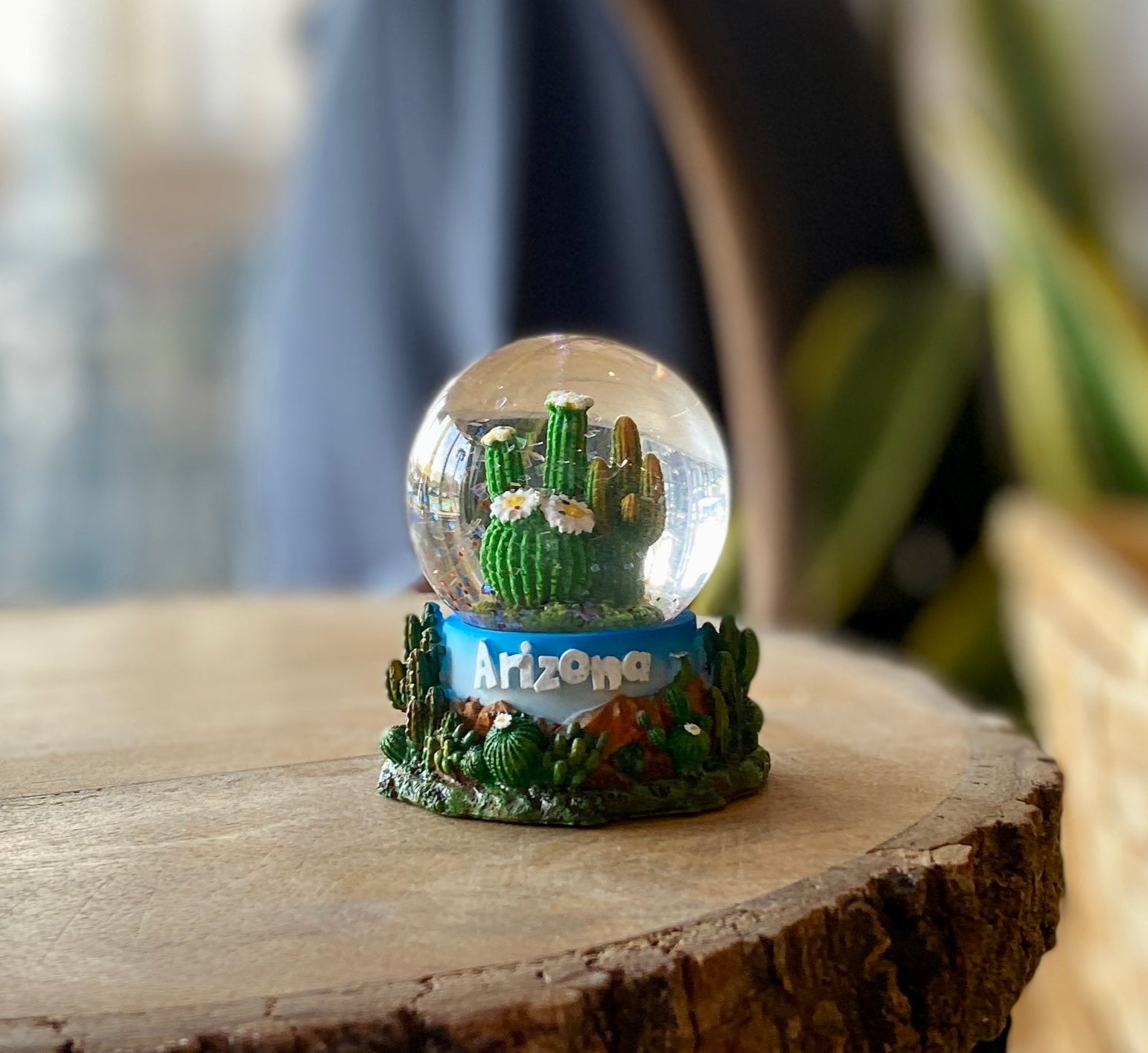 Arizona Cactus Mini Glitter Globe