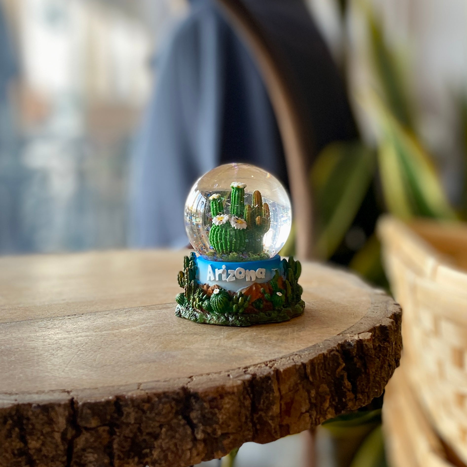 Arizona Cactus Glitter Globe