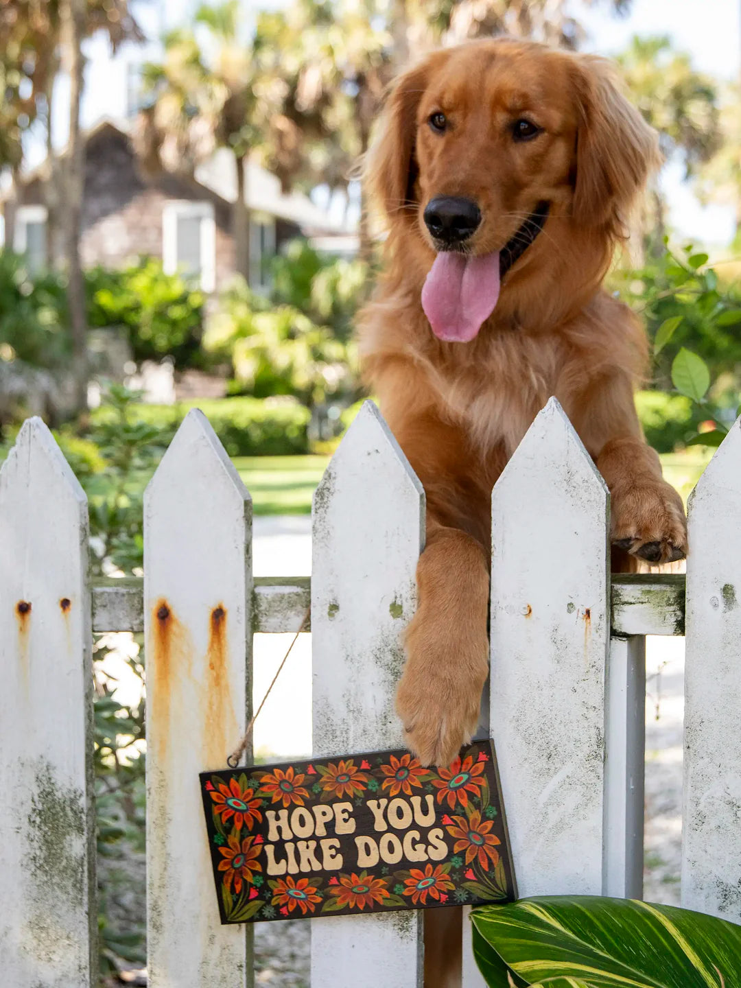 Wooden Sign - Likes Dogs