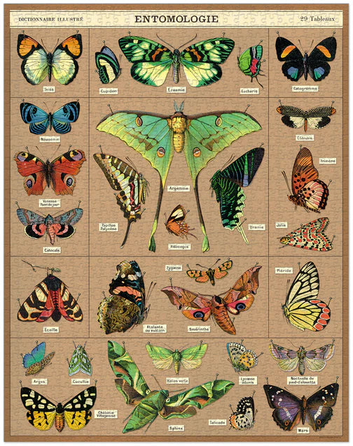 Entomology Vintage Puzzle