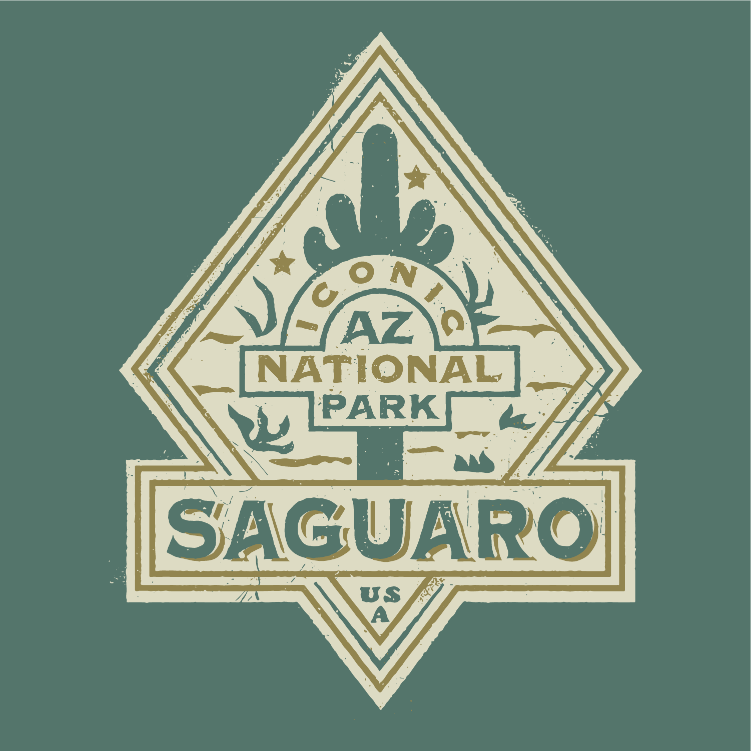 Saguaro National Park Tee