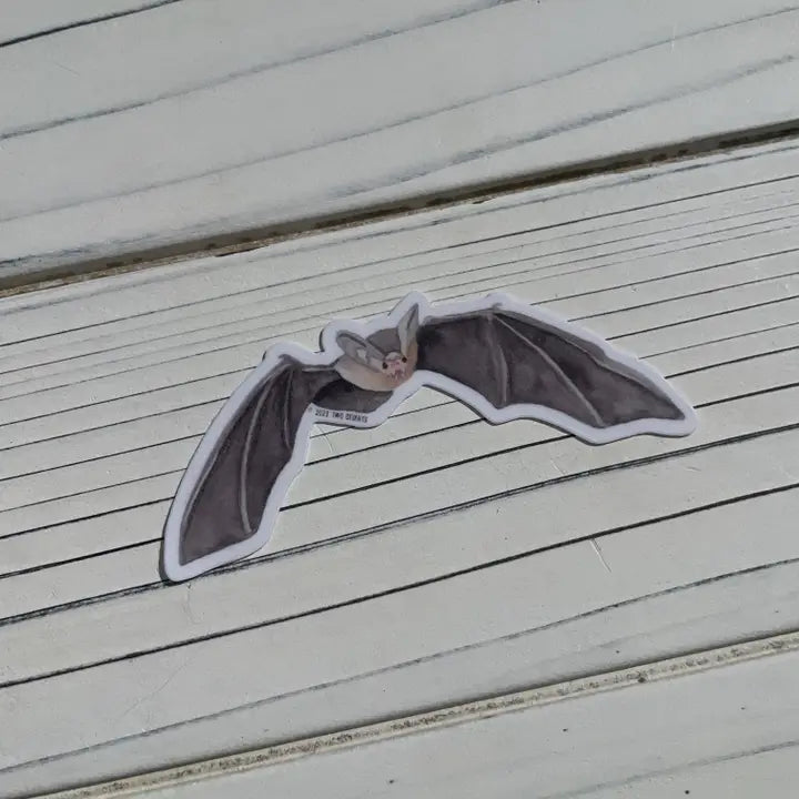 Flying Pallid Bat Sticker