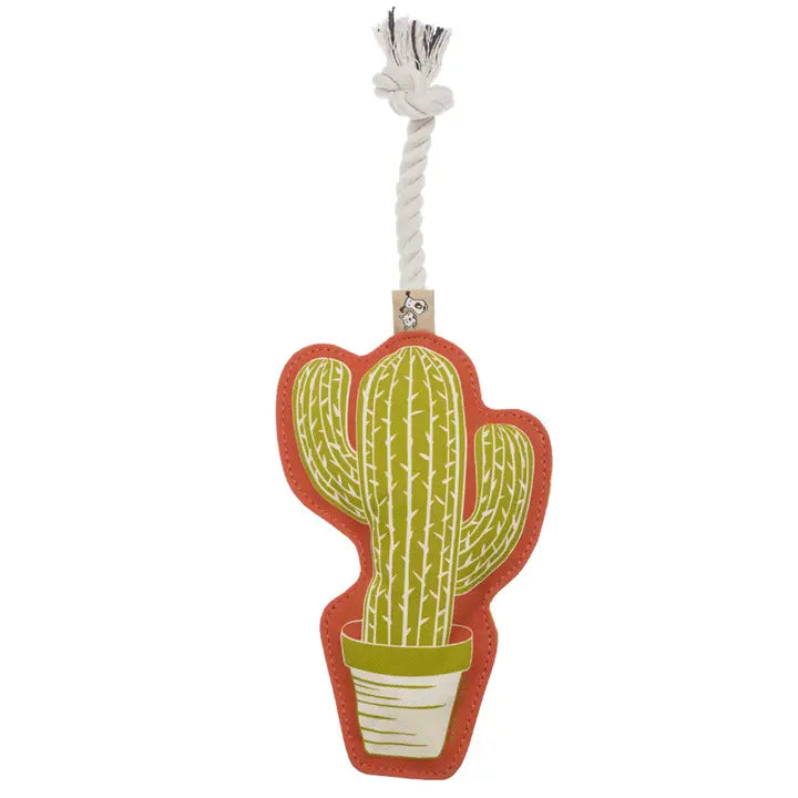 Cactus Rope Dog Toy