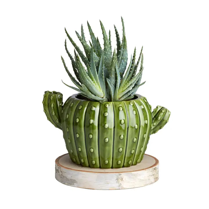 Cactus Planter