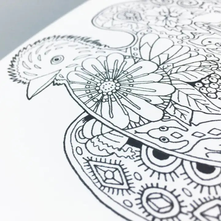 Critter Coloring Book