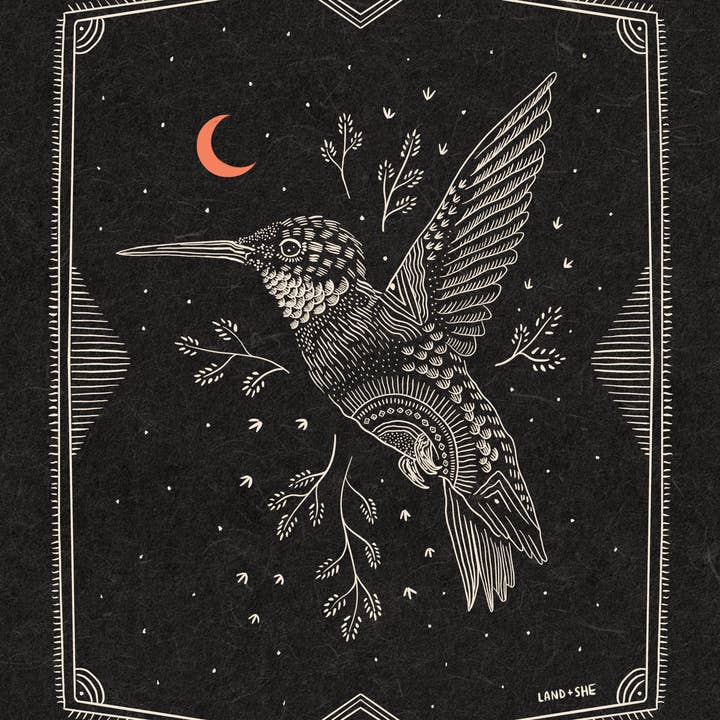 Hummingbird At Night Print 8x10