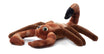 Arizona Scorpion Plushie - Large