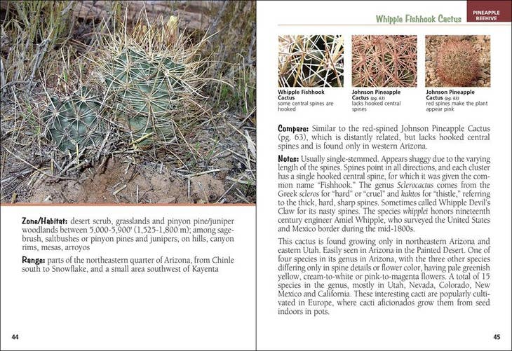 Cacti of Arizona Field Guide – Blue Planet Outdoors