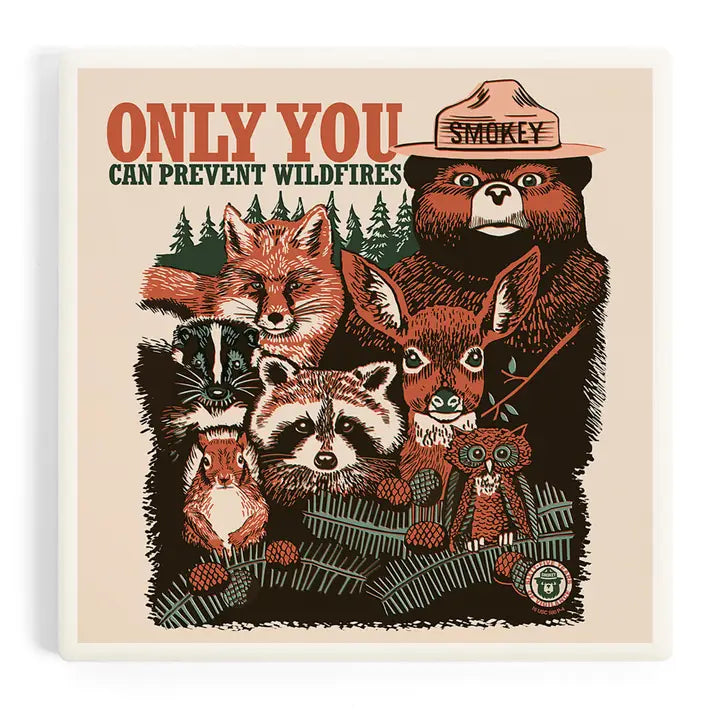 Smokey Bear & Woodland Creatures Coaster