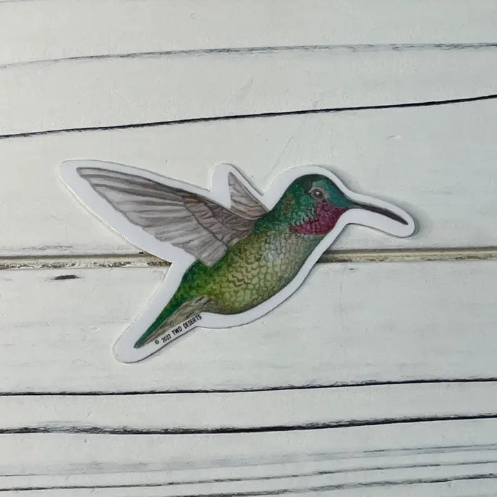 Costa Hummingbird Sticker