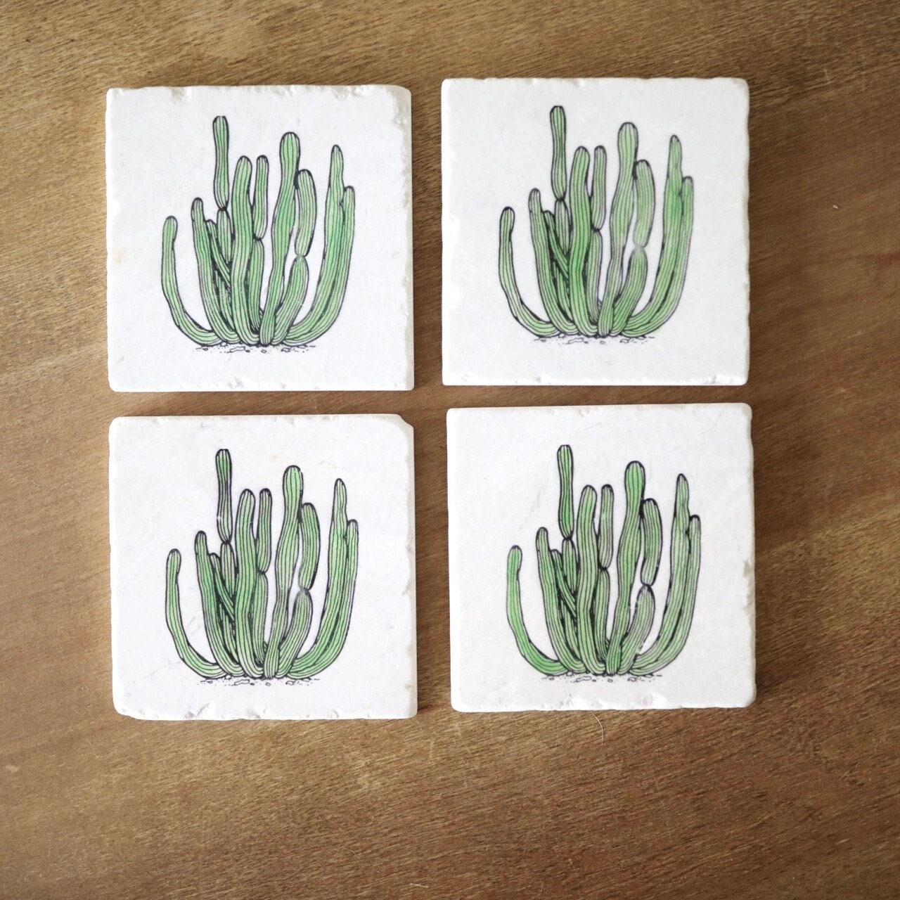 Organ Pipe Cactus in Color Marble Coaster