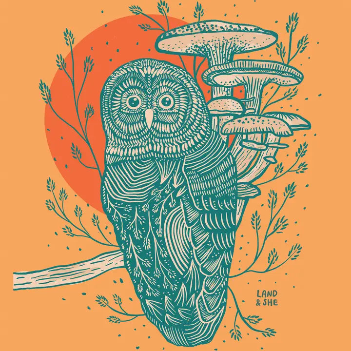 Wild Mushrooms and Owl Print 8x10