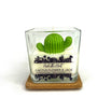 Saguaro Cactus 10 oz Candle