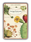 Cacti & Succulents Vintage Postcards